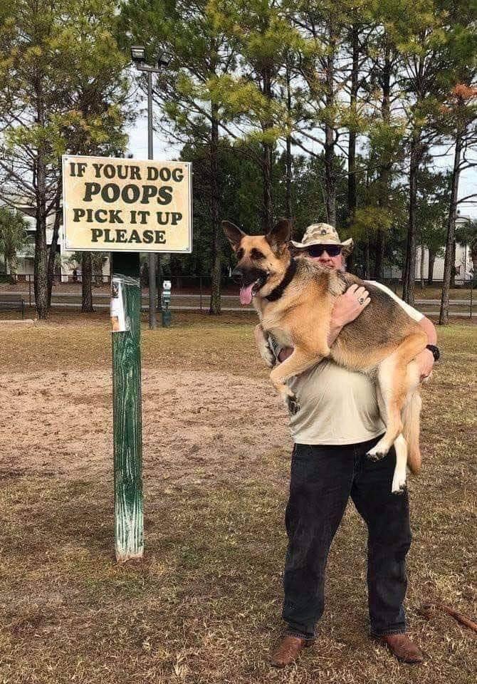 Dog poop sign